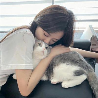 海豚爱上猫